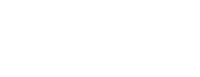 Swiss Yachts Dubai - Website Design - Digital Marketing - SEO